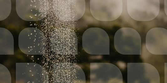 Close up of shower water on a green background 