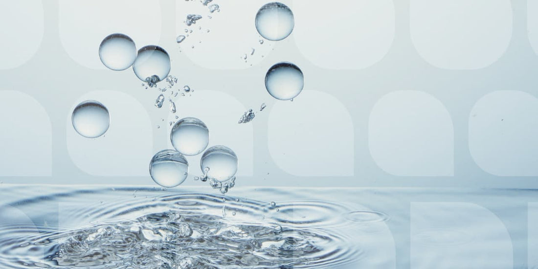 macro image of water bubbles 