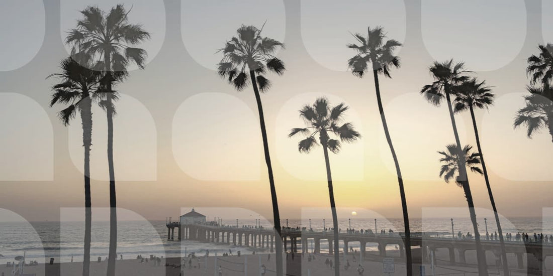 california sunset behind tall palm trees