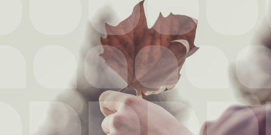 fall leaf in hand