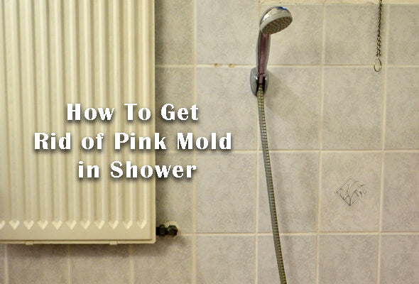 How To Get Rid of Pink Mold in Shower