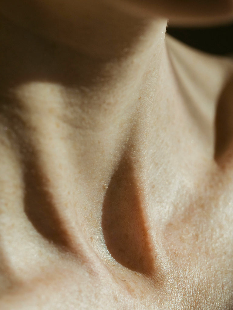 Close up of a womans neck and prominent collar bones 