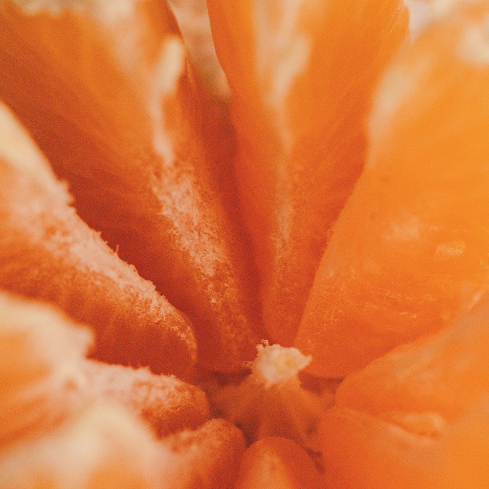 Close-up of an orange with a focus on its texture and color.