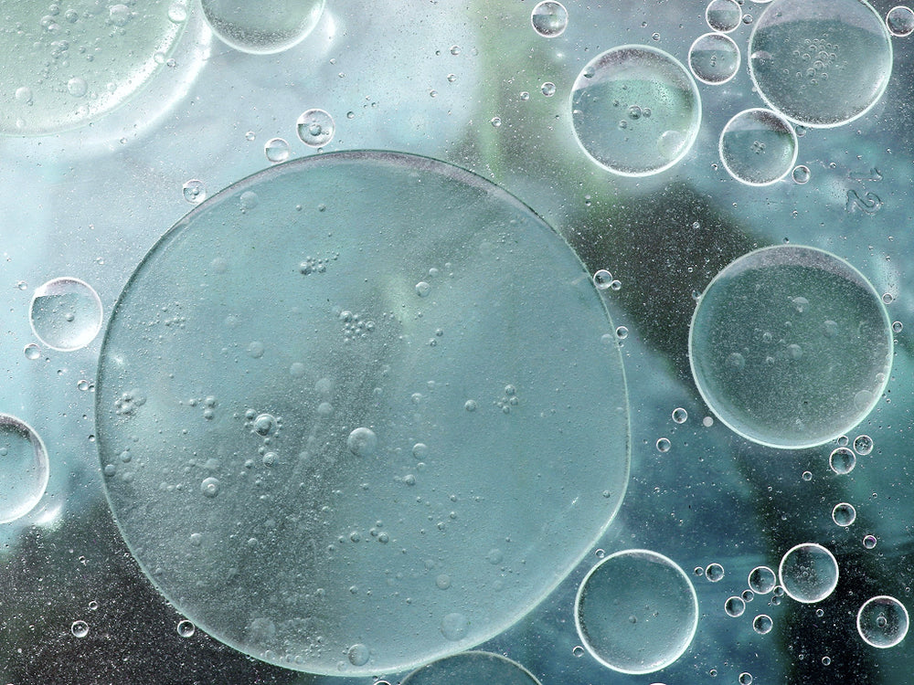 Close-up of oil and water bubbles on a greenish background