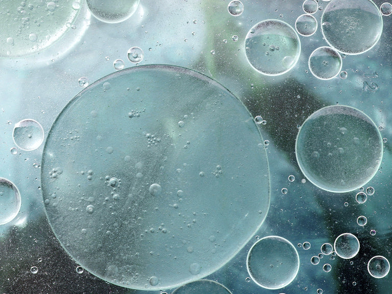 Close-up of oil and water bubbles on a greenish background