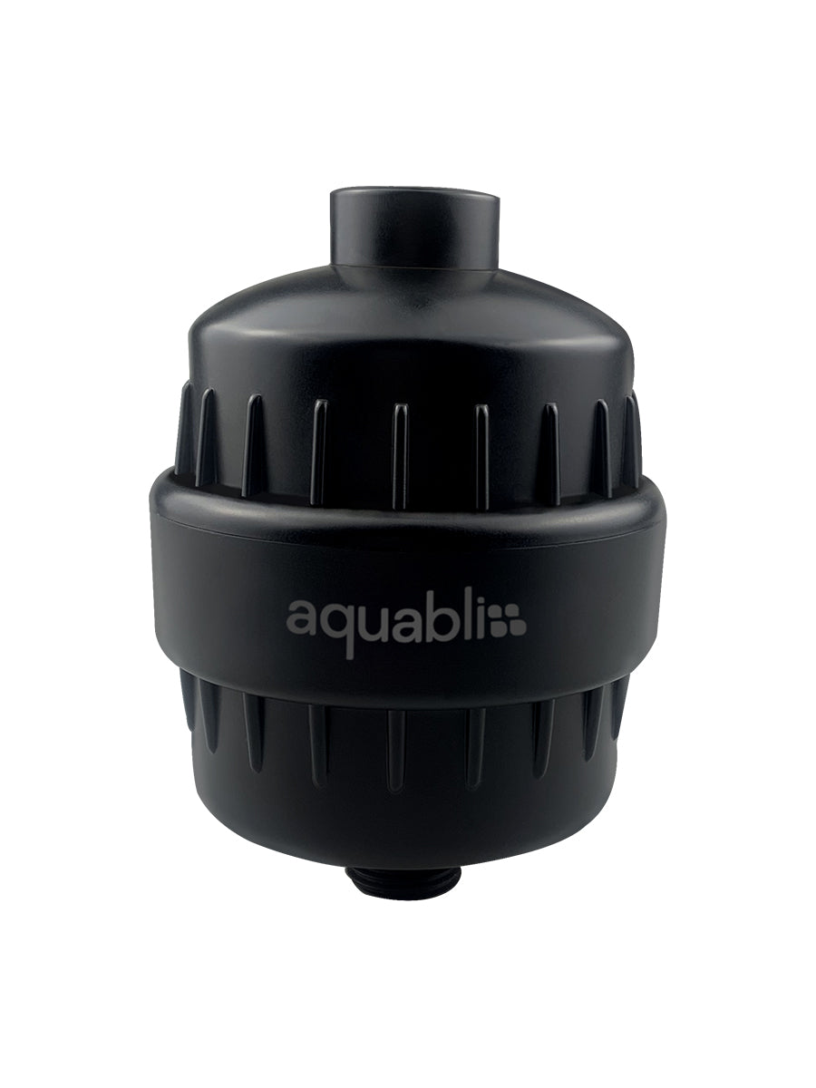 SF220 Daily Revitalize Shower Filter on a white background 