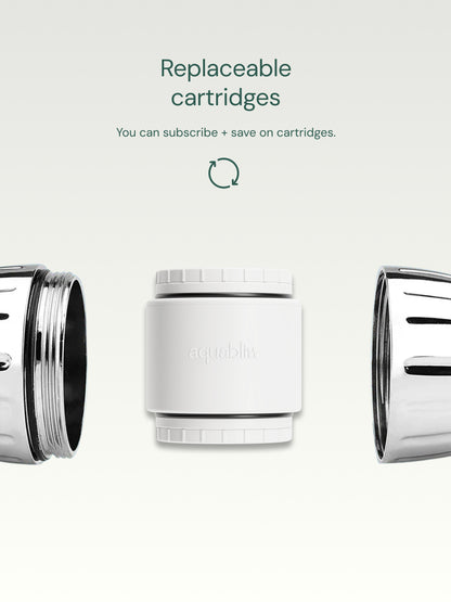 Replaceable shower filters on a light gray background.