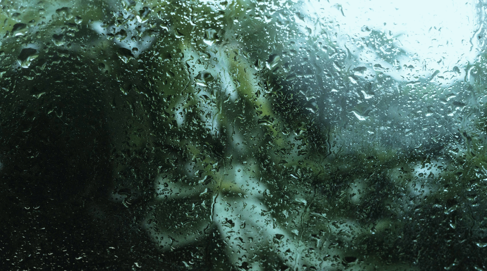 A close-up view of raindrops and water droplets on a wet surface, with a blurred green and gray outdoor background.