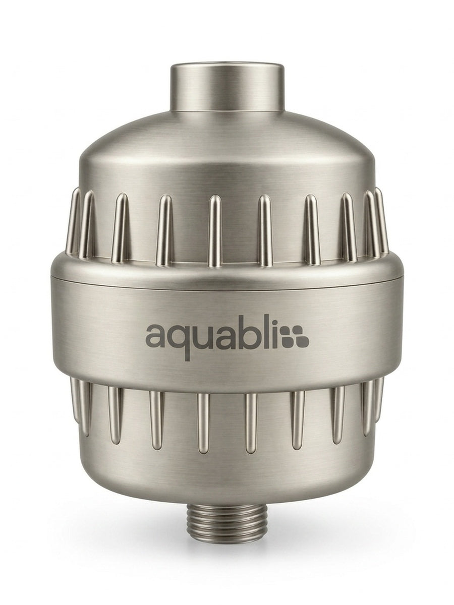 SF100 brushed nickel  Daily Revitalize Shower Filter on a white background
