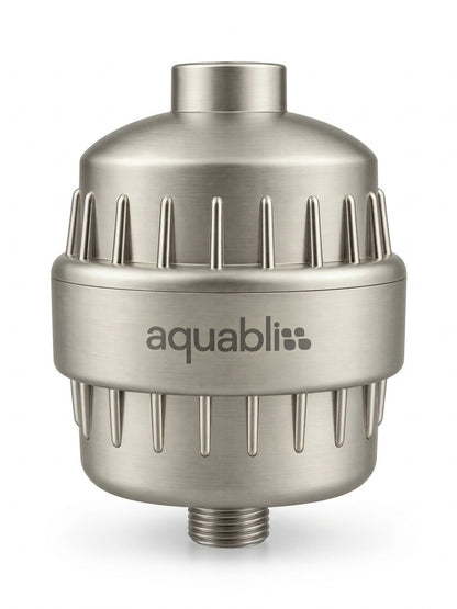 SF100 brushed nickel  Daily Revitalize Shower Filter on a white background