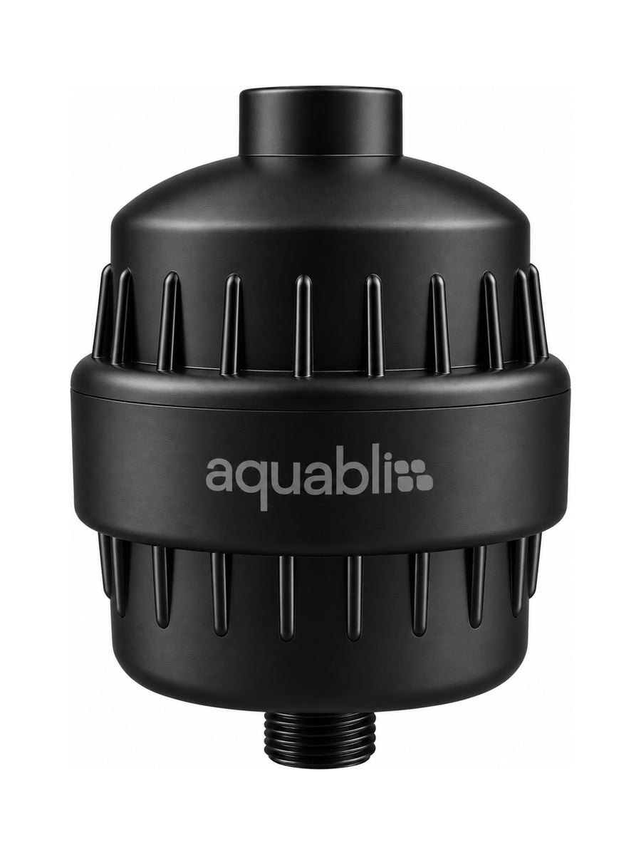 SF220 Daily Revitalize Shower Filter on a white background 