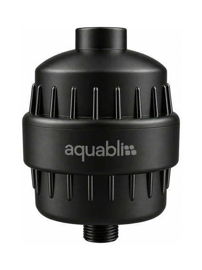 SF220 Daily Revitalize Shower Filter on a white background 