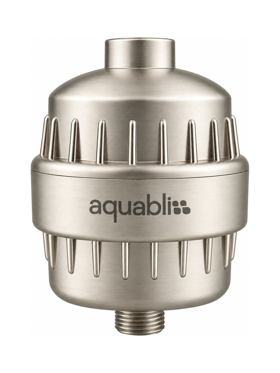 SF100 brushed nickel  Daily Revitalize Shower Filter on a white background