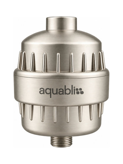 SF100 brushed nickel  Daily Revitalize Shower Filter on a white background