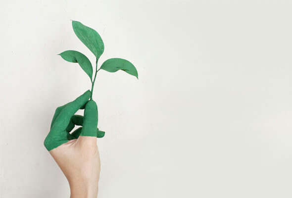 green hand holding sampling