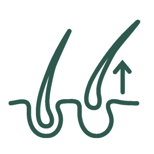 hair loss icon dark green
