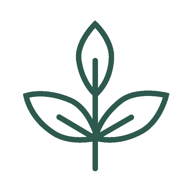 healthy leaf icon dark green