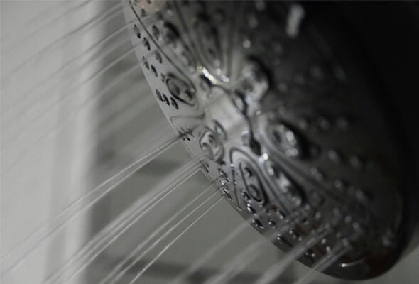 showerhead with iron shower filter