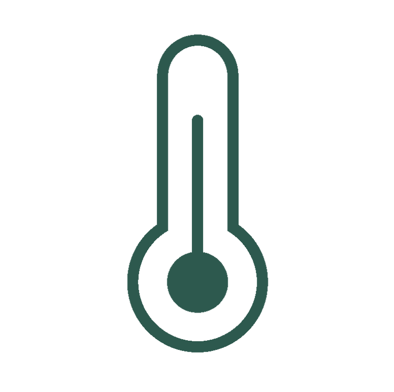thermometer icon dark green