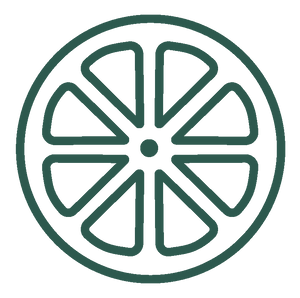 vitamin c icon dark green