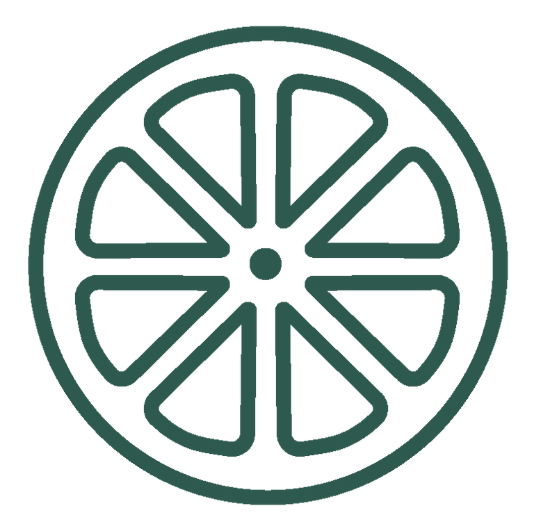 vitamin c icon dark green