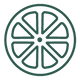 vitamin c icon dark green